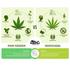 Kép 3/4 - CBD Kannabisz Krém - 150ml