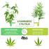 Kép 4/4 - CBD Kannabisz Krém - 150ml